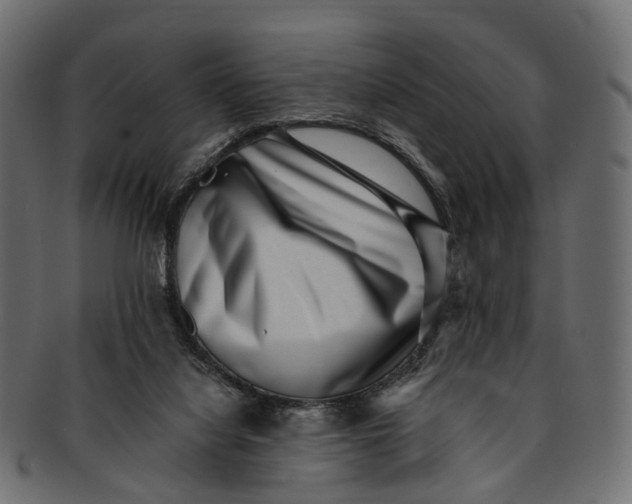 X0000091560068200709071137