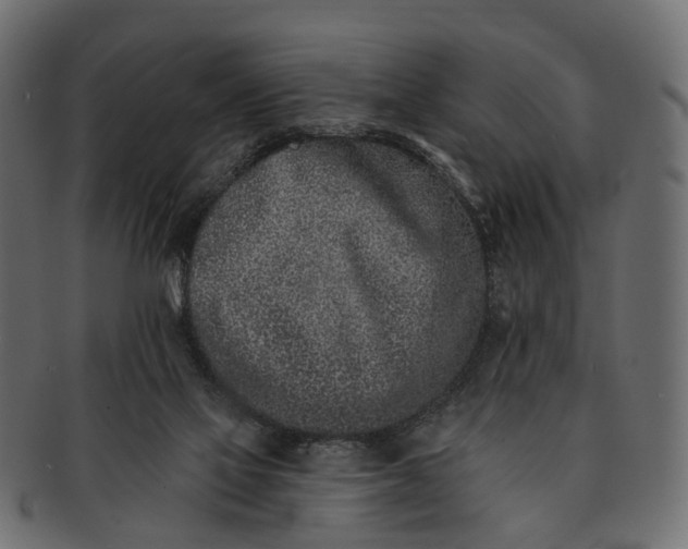 X0000091560069200709071137