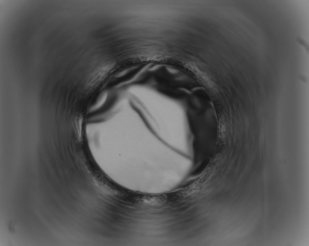 X0000091560070200709071137