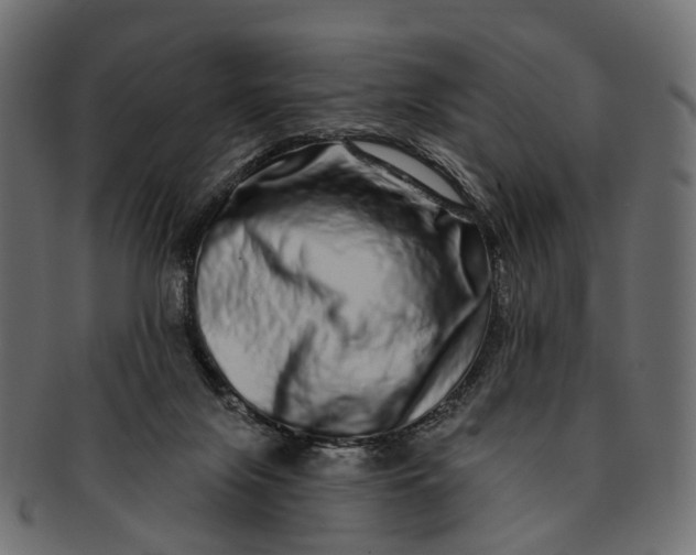 X0000091560071200709071137