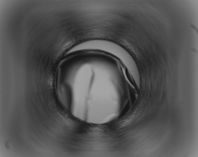 X0000091560072200709071137