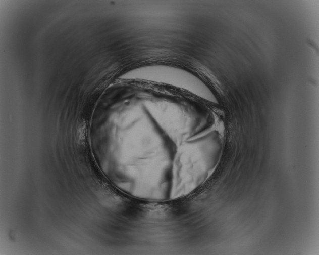 X0000091560073200709071137