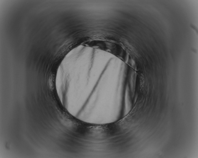 X0000091560074200709071137