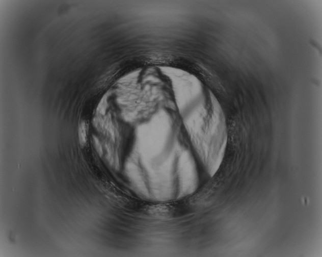 X0000091560075200709071137