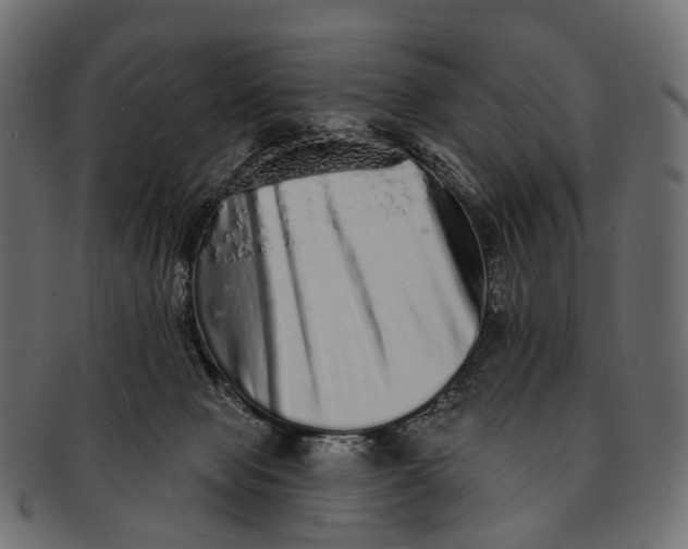 X0000091560077200709071137