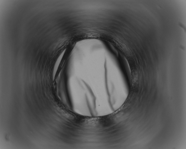 X0000091560078200709071137