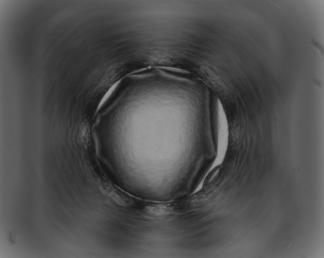 X0000091560079200709071137