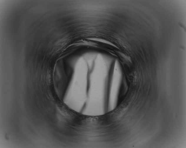 X0000091560080200709071137