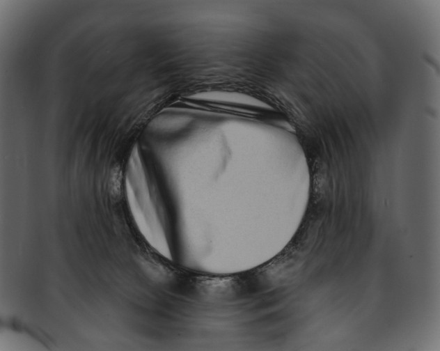 X0000091560081200709071137