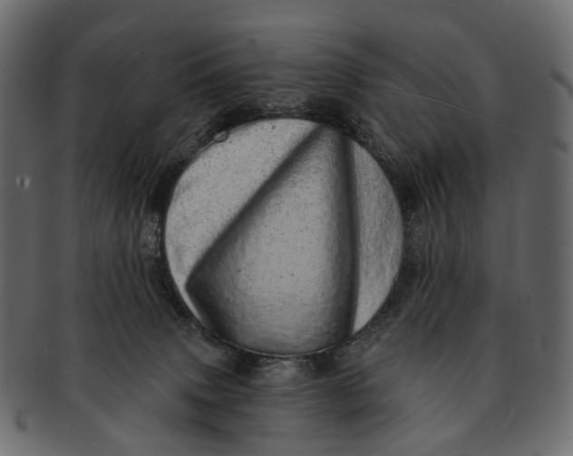 X0000091560083200709071137