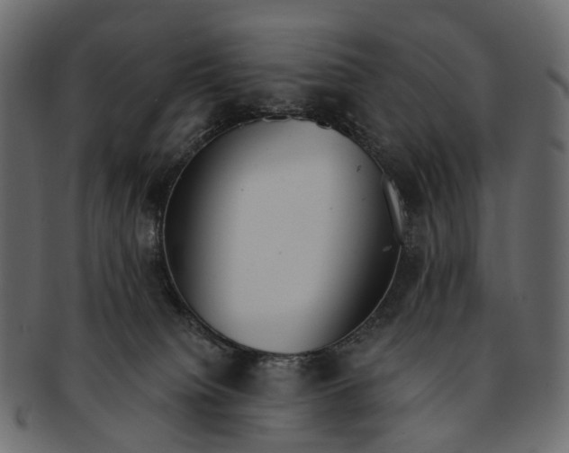 X0000091560084200709071137