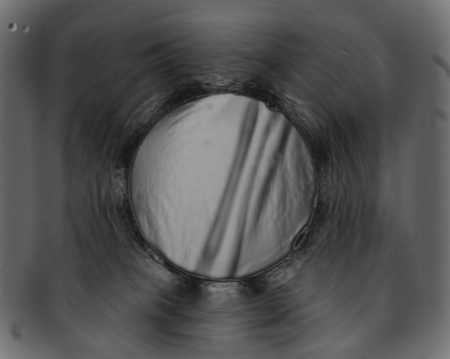 X0000091560085200709071137