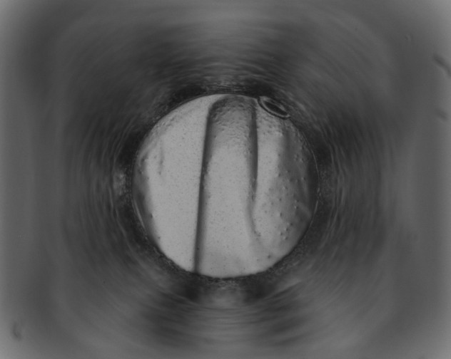 X0000091560087200709071137