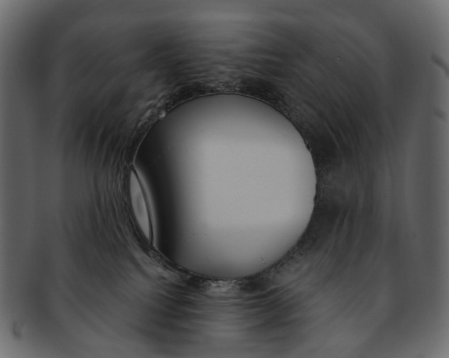 X0000091560088200709071137