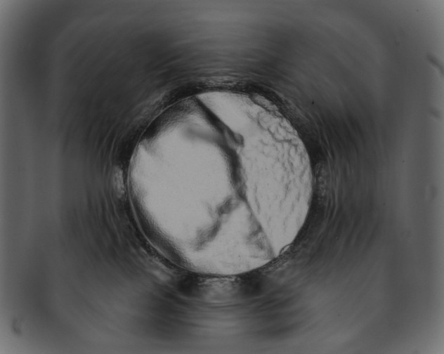 X0000091560089200709071137