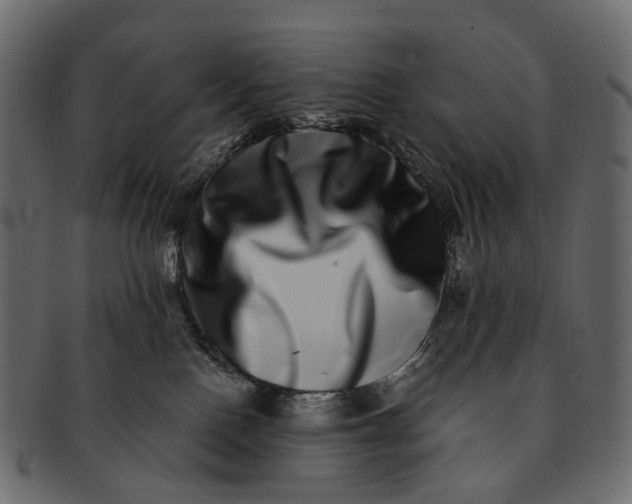 X0000091560090200709071137