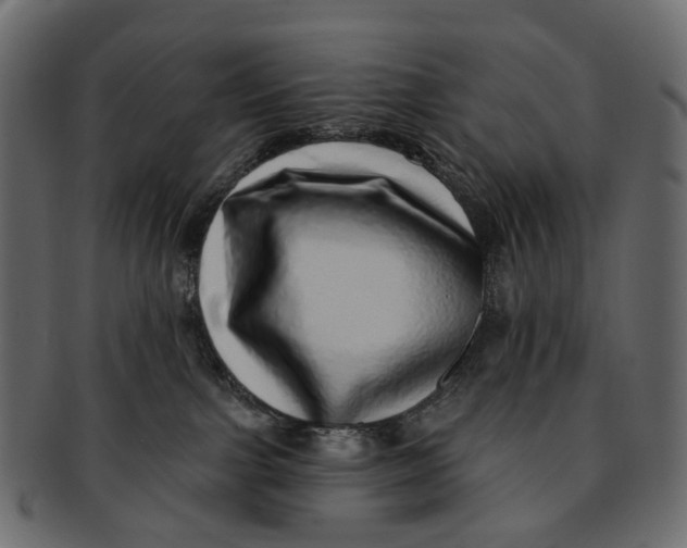 X0000091560091200709071137