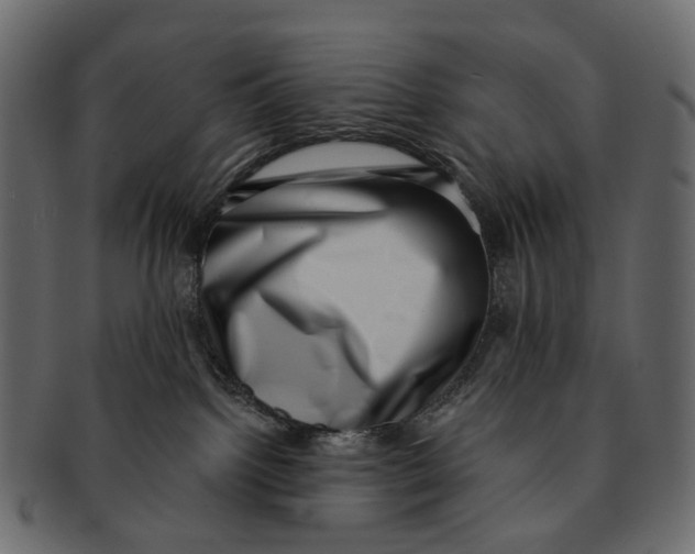 X0000091560092200709071137