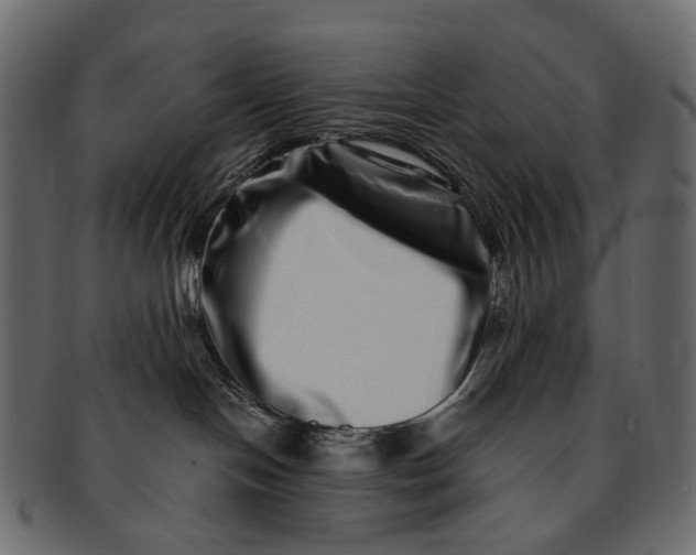 X0000091560094200709071137