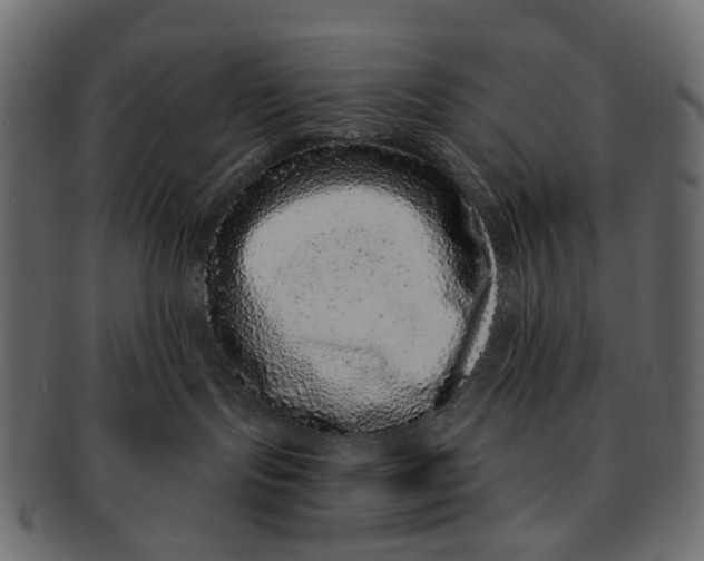 X0000091560095200709071137