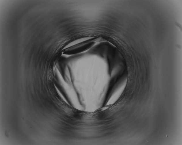 X0000091560096200709071137