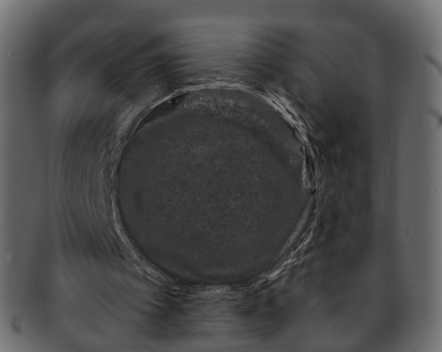 X0000091560097200709071136