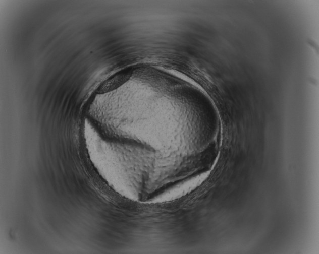 X0000091560098200709071136