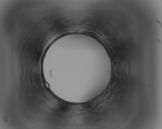 X0000091560100200709071136