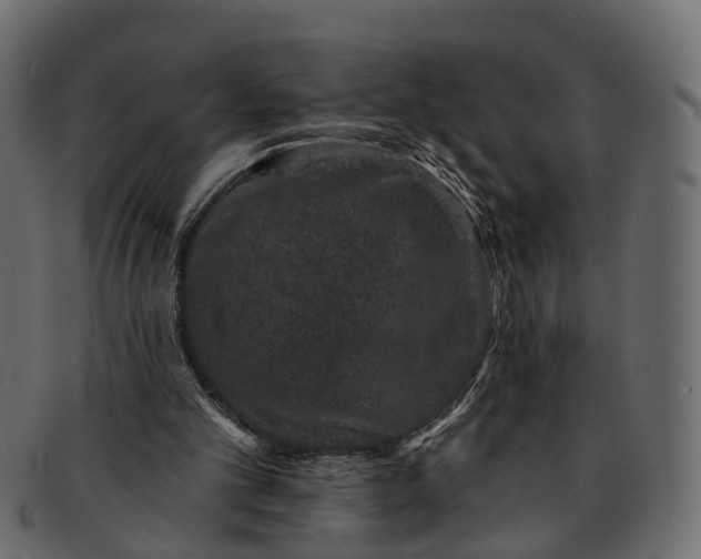 X0000091560101200709071136