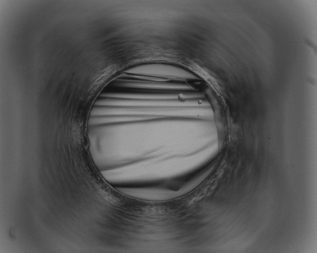 X0000091560105200709071136