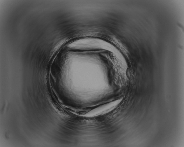 X0000091560107200709071136