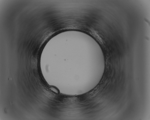 X0000091560108200709071136