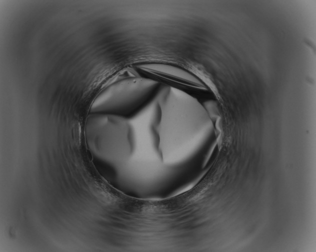 X0000091560109200709071136