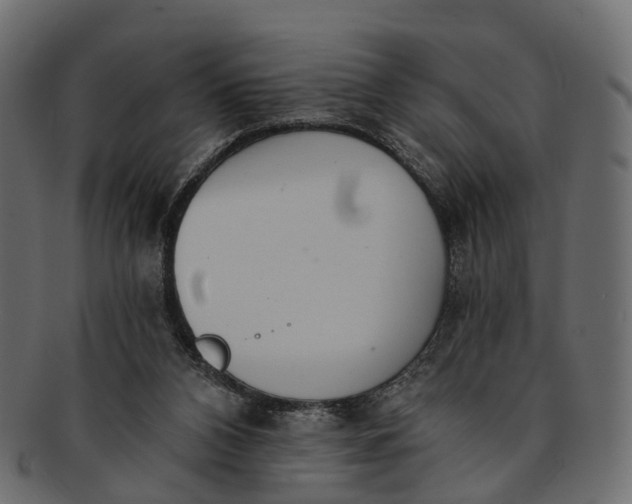 X0000091560112200709071136