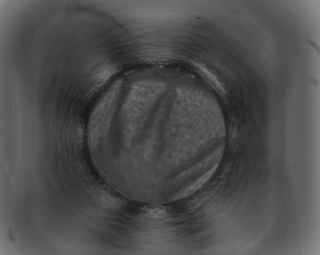 X0000091560113200709071136