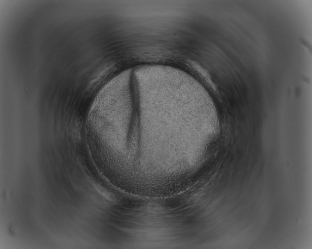 X0000091560114200709071136