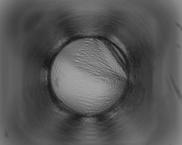 X0000091560115200709071136