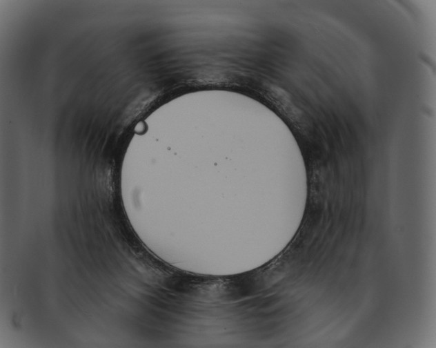 X0000091560116200709071136