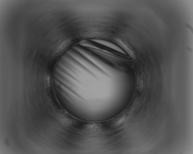 X0000091560117200709071136