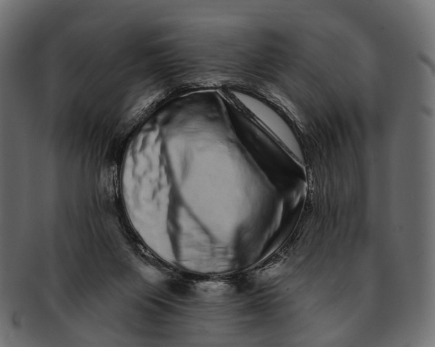 X0000091560119200709071136