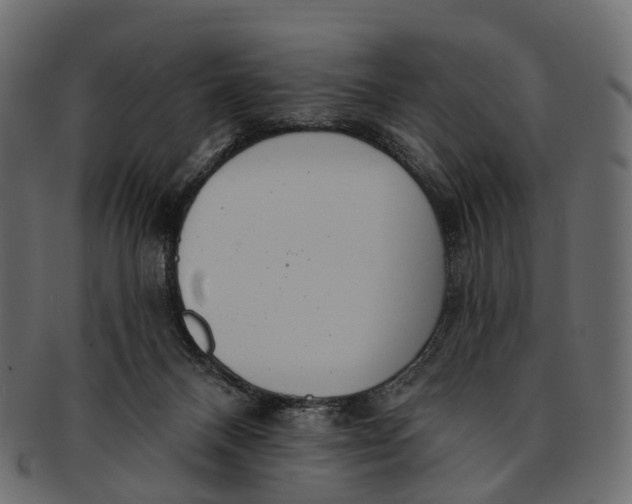 X0000091560120200709071136