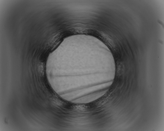 X0000091560121200709071136