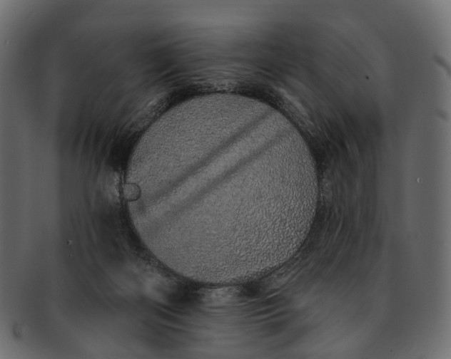 X0000091560122200709071136