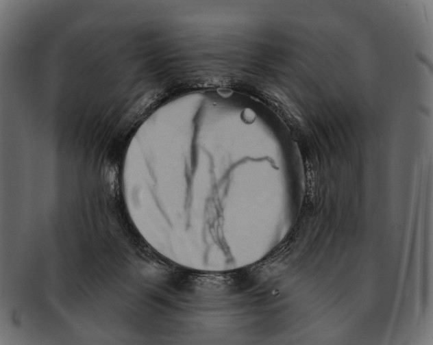 X0000091560123200709071136