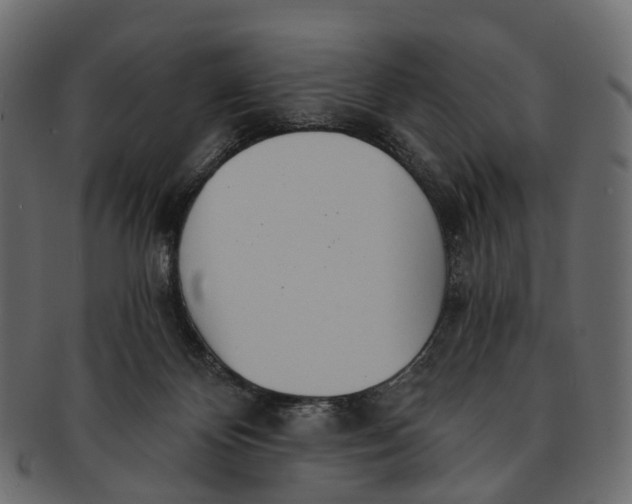 X0000091560124200709071136