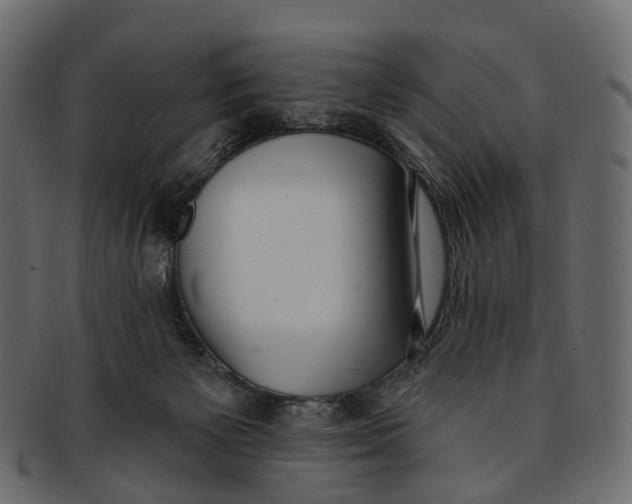 X0000091560125200709071136