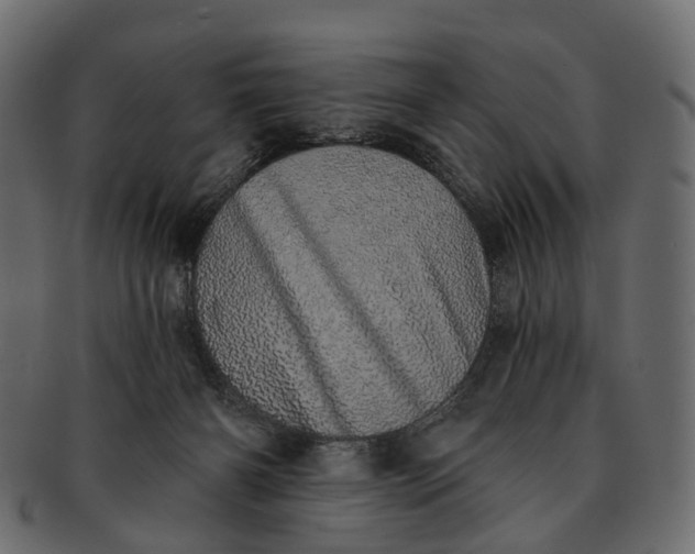 X0000091560126200709071136