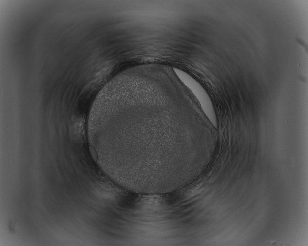 X0000091560127200709071136