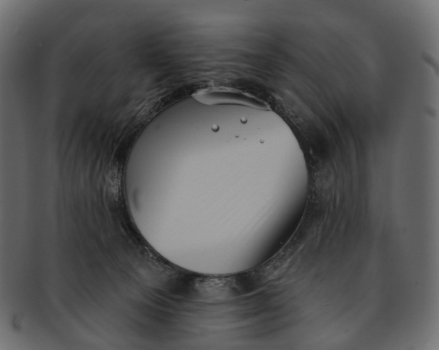 X0000091560129200709071136