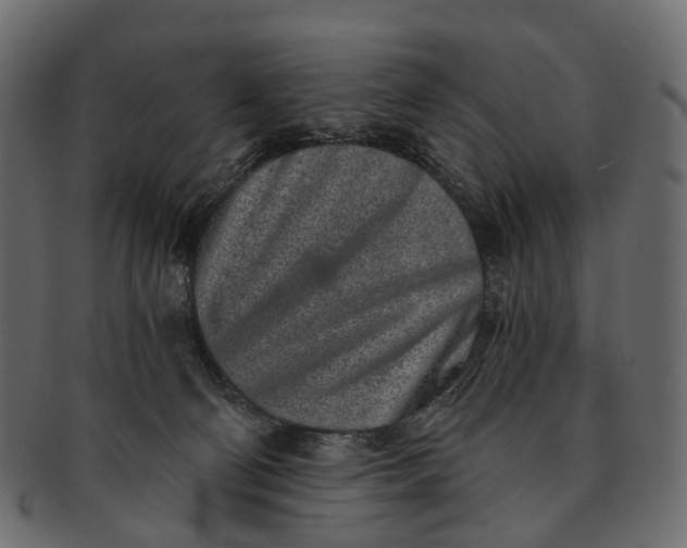 X0000091560130200709071136